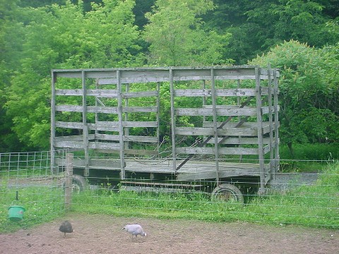 Cooper's Ark Farm